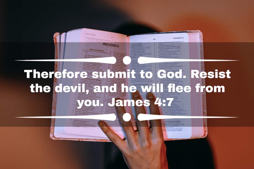 Bible verses for your Instagram bio