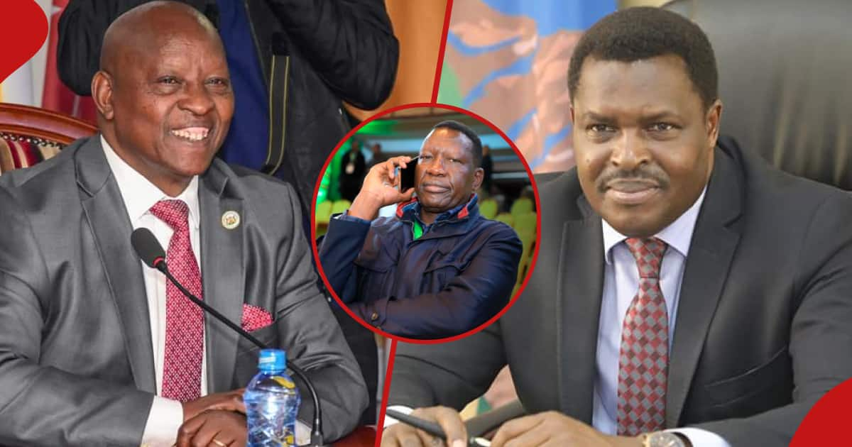 Mt Kenya: Governors Ask William Ruto To Sack CS Davis Chirchir Over ...