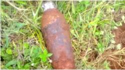 Scare in Murang'a as Residents Discover Abandoned Bomb, Confuse It with Arrowroot