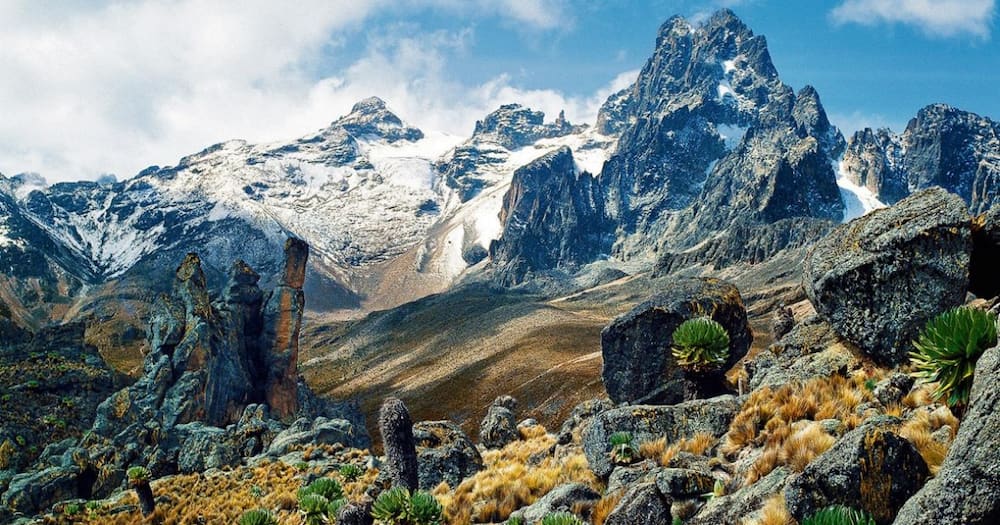 Irish tourist develops breathing problems, dies while climbing Mt Kenya