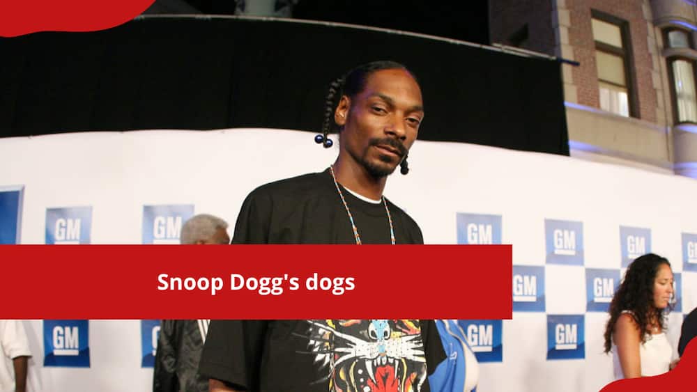 Snoop Dogg's dogs