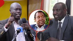 William Ruto Atakosana na Rigathi Iwapo Atapiga Dili na Raila, Herman Manyora
