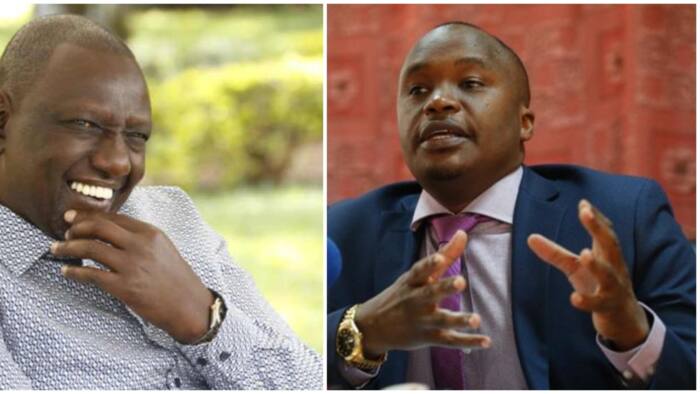 Starehe Mp Jaguar to Defend Seat as Independent Candidate: "Tupatane Kwa Debe"