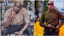 Willy Paul Advises Men to Avoid Instagram Beauties, Get Wives from Village: "Tuwasafishe"
