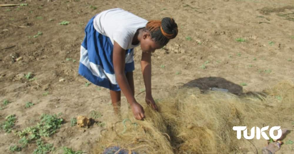 Mata Kaja from Tana River. Photo: Caroline Mwawasi.