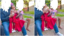 Jamal Rohosafi's Pregnant Girlfriend Michelle Flaunts Video of Dad Spoiling Daughter with KSh 1000 Notes