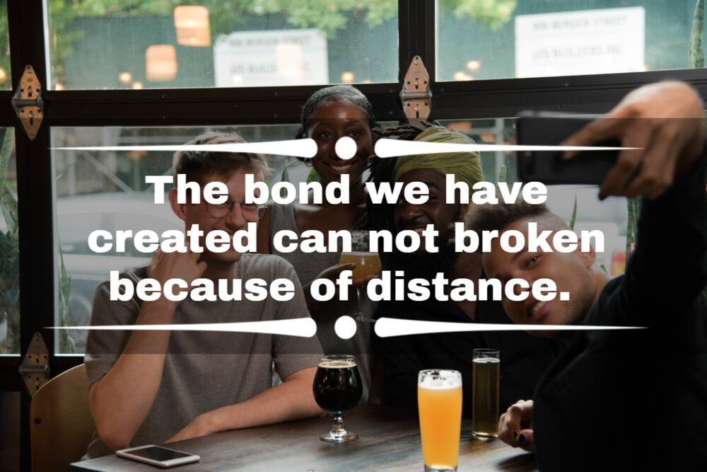 100+ online friendship quotes for long-distance friends 