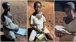 Determined Girl Forced to Study Under Streetlight, Appeals for Support: “I Want to Become a Doctor”