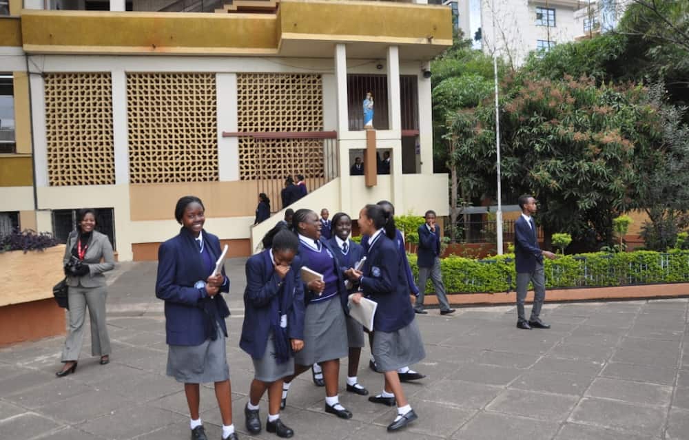 Consolata School admissions, fees structure, KCSE results, location, contacts