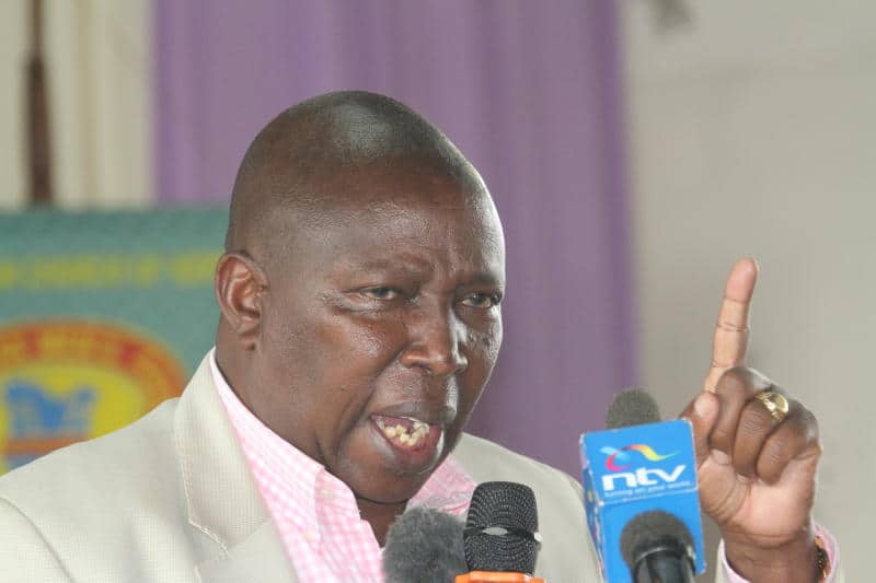 Jubilee nominated MP Maina Kamanda heckled in Kirinyaga