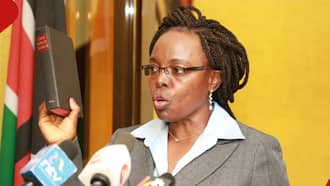 Margaret Nyakang'o: Police Arrest Controller of Budget, 10 Others Over Graft-Related Claims