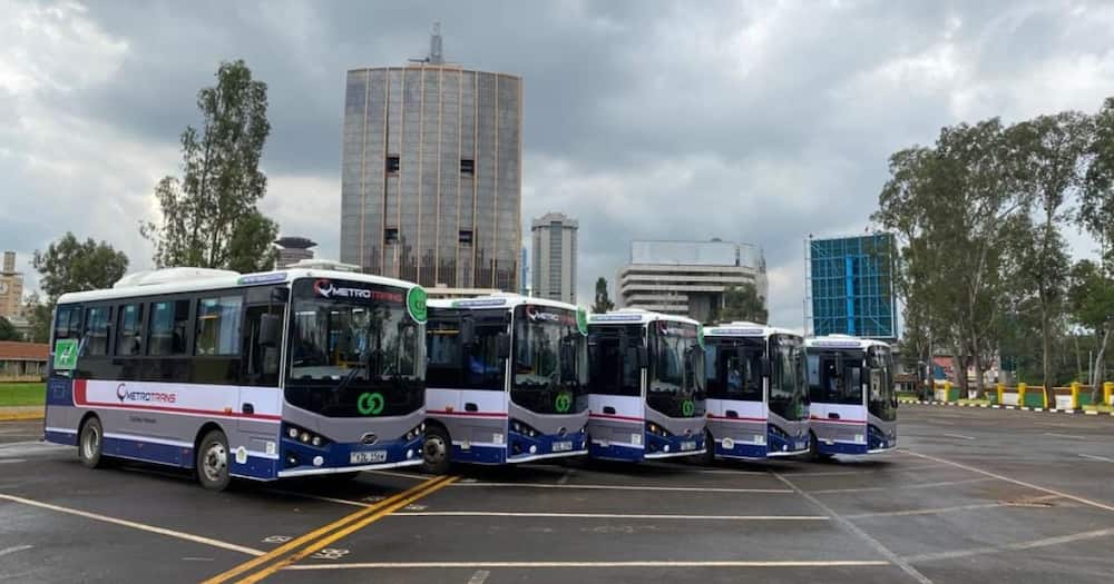 Metro Trans Ltd's new fleet.
