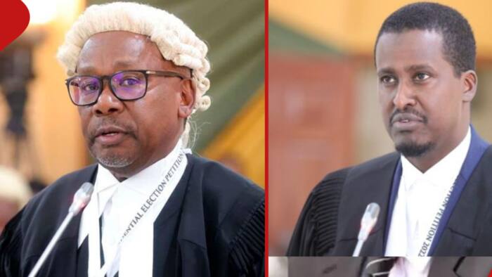 2022 Election: Kenyan Lawyers Who Represented IEBC in Presidential Petition Paid KSh 502.3m