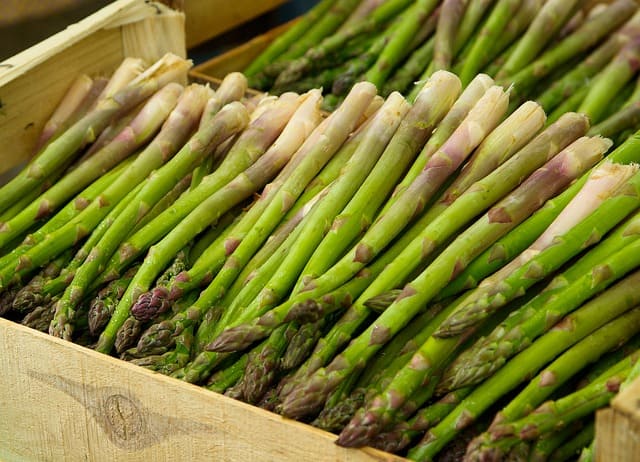 does asparagus go bad in the refrigerator