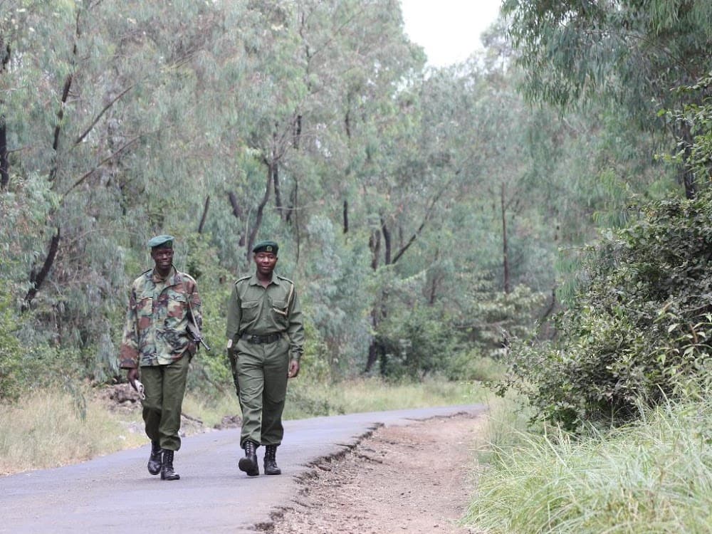 Gov't to demolish over 800 homes in move to reclaim grabbed Ngong Forest land