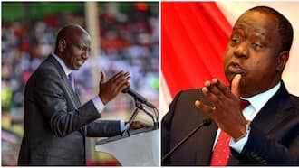 Video of Fred Matiang'i Warning Against Unrealistic Promises by Ruto Emerge: "You Get Along with It"