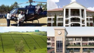 Gideon Moi: Businesses Owned by KANU Chairman and His Net Worth