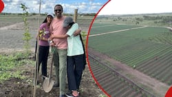 Lawyer Ahmednasir Confesses He's Enjoying Farming, Set To Harvest 50 Acres of Onions, Yellow Beans