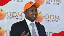 Junet Mohamed Confident ODM Will Form Government in 2027: "Chama Kubwa"