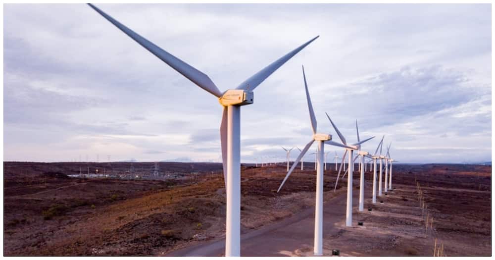 Court has ordered the gov't to approve the construction of the 300mw wind power project.