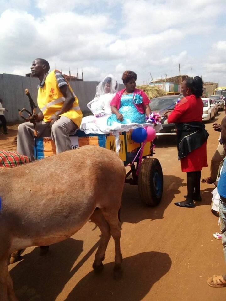 Kirinyaga couple ride decorated donkey cart in simple wedding ceremony