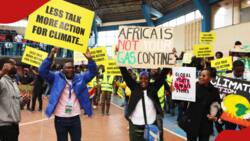 Africa Climate Summit: Activists Accuse Leaders of Ignoring Issues Affecting Africans, Call for More Action