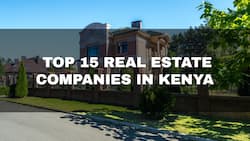 Top 15 real estate companies in Kenya 2022 and details about them