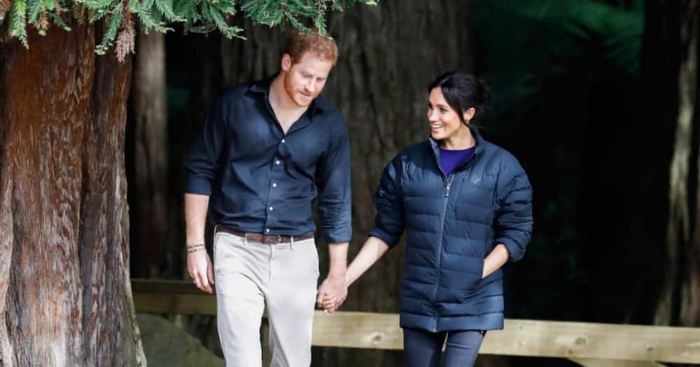 Meghan Markle, 'Never wanted fame', Prince Harry, Andrew Morton.