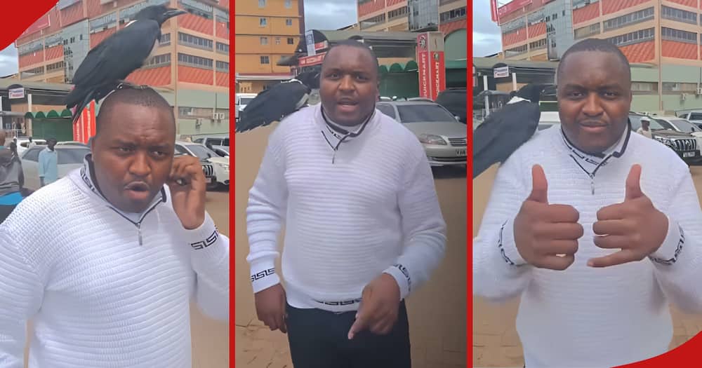 Man addresses thieves who stole his goat in Mwihoko.