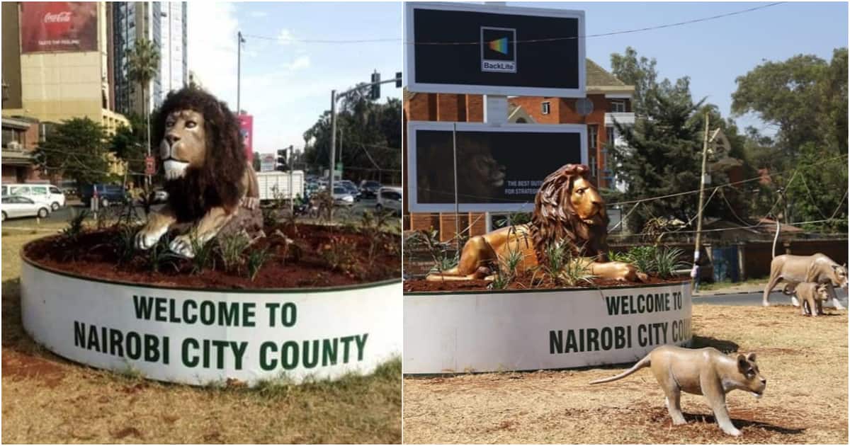 Image result for nairobi beautification programme