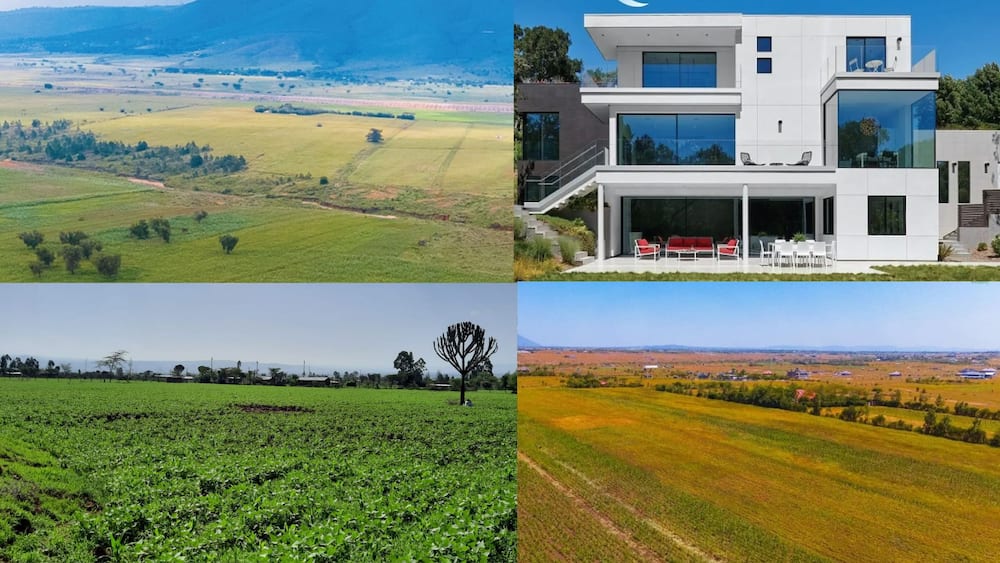 property companies in kenya