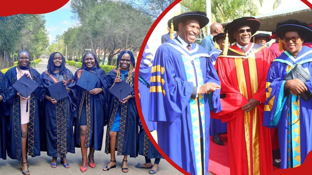 Kenyatta University courses and their cluster points in 2024 Tuko.co.ke