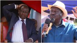 Unga, Fuel Subsidies, Kazi Mtaani Among 5 Economic Issues Raila Wants William Ruto to Restore Before 2023