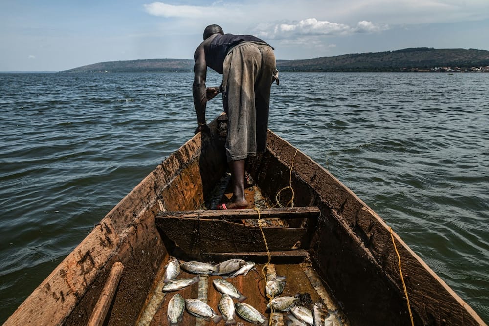 Pollution is an even bigger issue than climate change for the Nile in Uganda