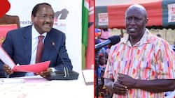 Kericho Deputy Governor Urges Kalonzo to Defect to UDA to Succeed William Ruto in 2032
