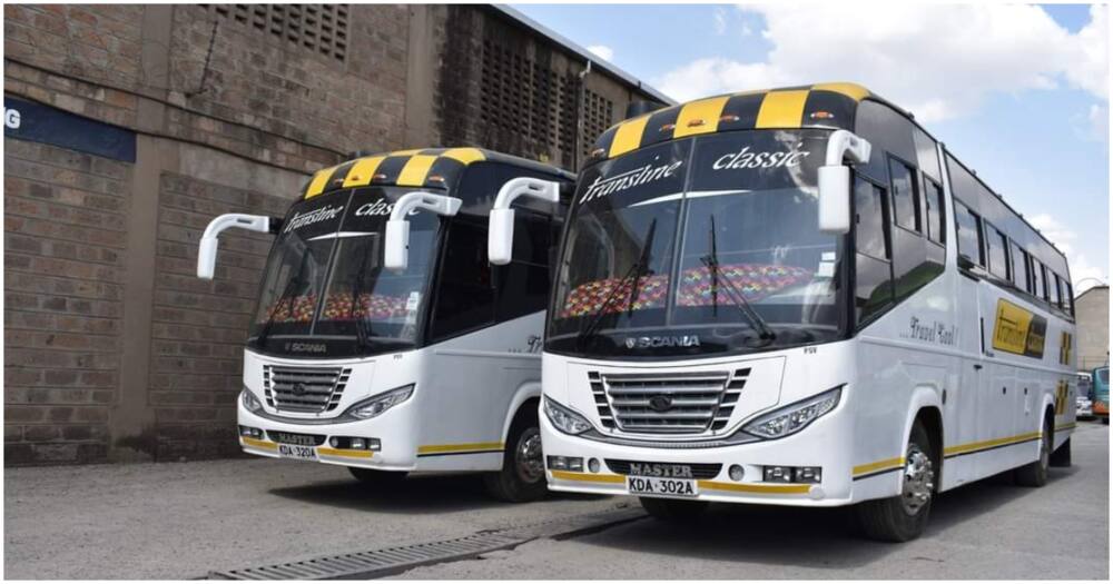 Transline busses. Photo: Transline Classic.