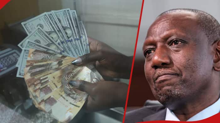 Kenyans React as Shilling Registers Fresh Decline Against US Dollar at KSh 132.5: "Next Week It'll Be KSh 140"