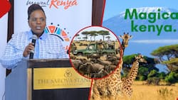 Govt Partners with Media to Showcase Kenya's Natural Beauty and Cultural Heritage