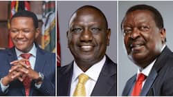 William Ruto's Cabinet Is a Political Strategy to Retain Power in 2027, Pundits Say