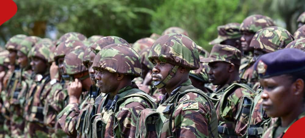 Kenya police officers on advance mission to Haiti are returning to the country due to logistical hurdles.