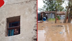 Kitengela Woman Cries Out for Help as Heavy Floods Wreak Havoc: "We're Dying"