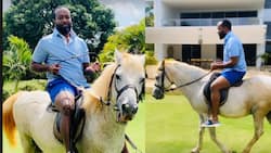 Hassan Joho Enjoys Horse Ride at His Palatial Mombasa Home