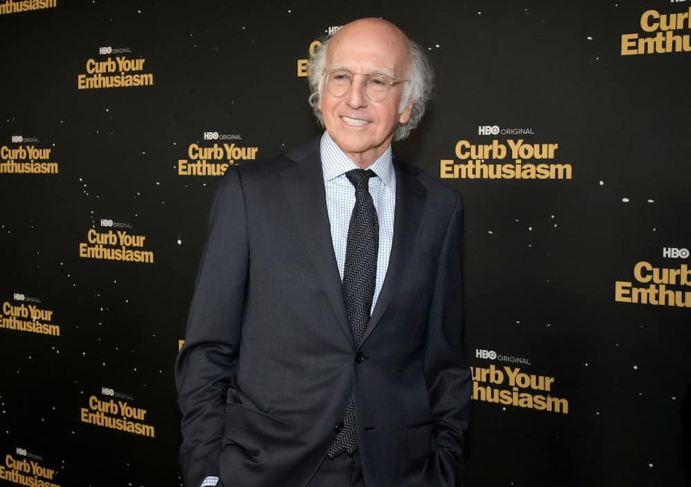 Larry David's Net Worth (2023): What He Makes From Seinfeld, Curb