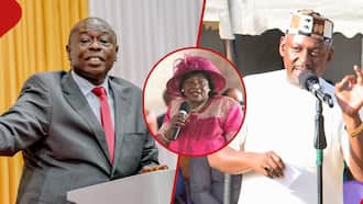 Otiende Amollo Dismisses Gachagua's Apology to Mama Ngina Kenyatta, Terms it Political