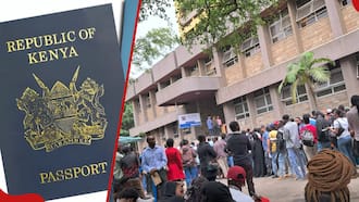 Immigration Department Resumes Issuance of Passports after 48-Hour Halt