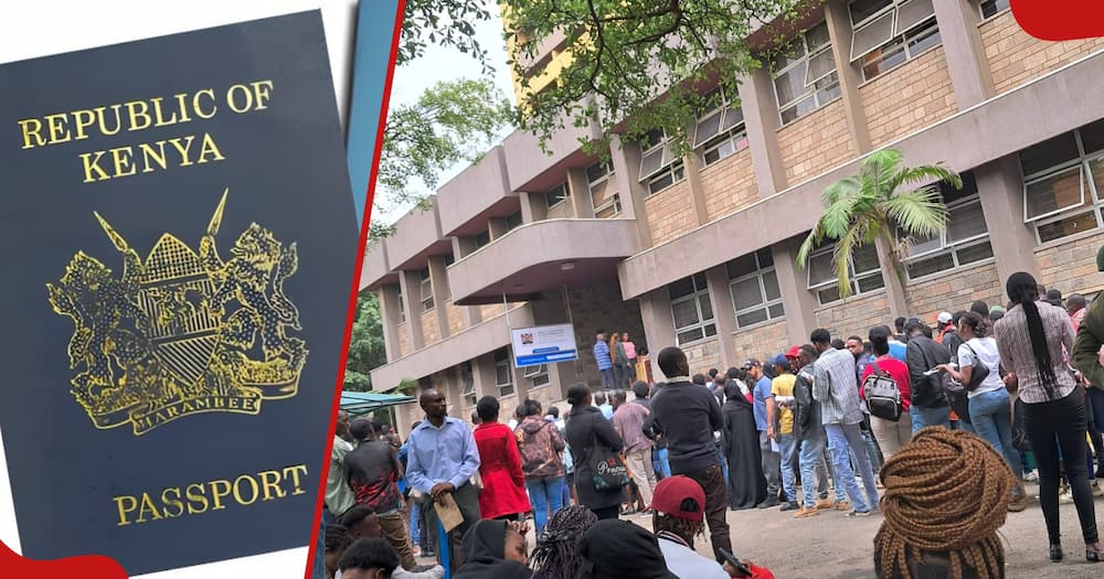 Government resumes issuances of passports