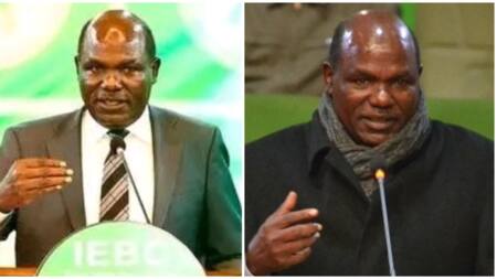 Shine Bright: Kenyan impressed by Chebukati's choice of body oil, ask where they could find it