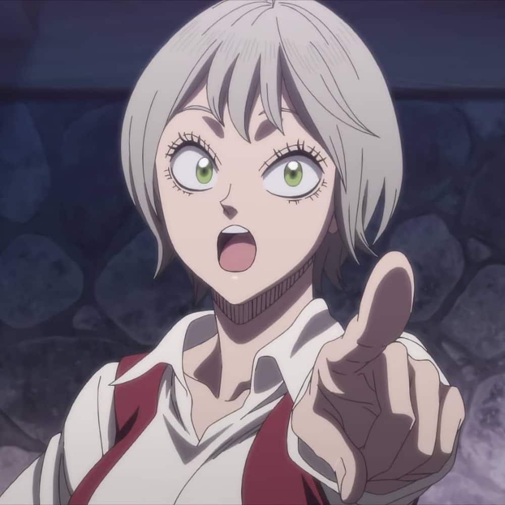 20 female black Clover characters ranked by their popularity