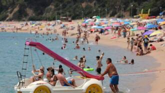 Spain's tourism revenue seen hitting new record in 2024