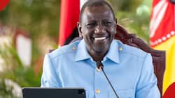 William Ruto says he's ready to engage Gen-Z on X spaces to understand their issues